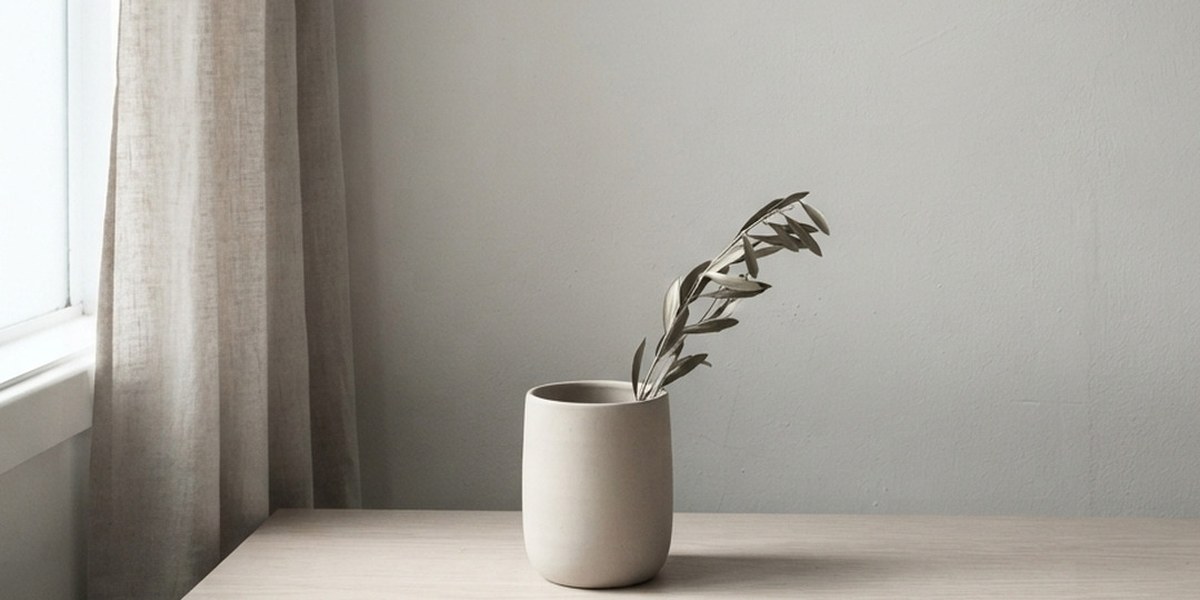 Linen curtain and an olive branch in soft window light