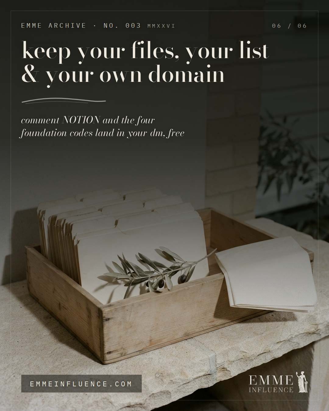 An archive drawer of blank ivory folders with a dried olive sprig laid across the front